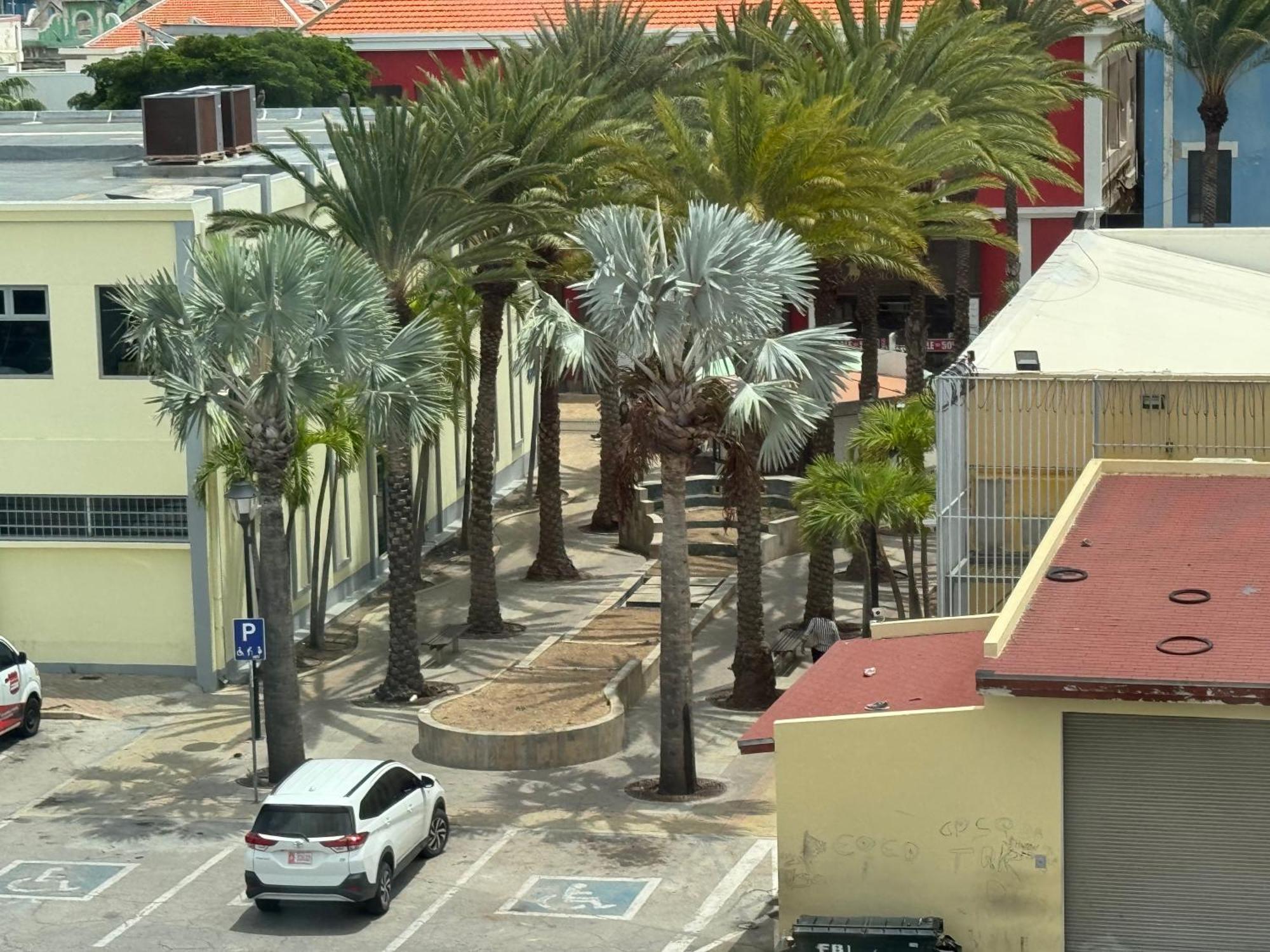 Central Boutique Hotel Oranjestad Bagian luar foto